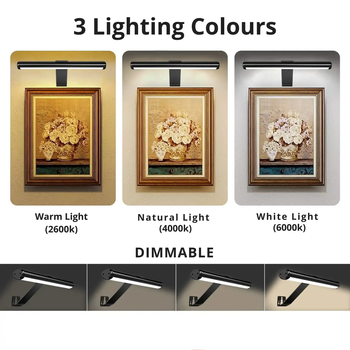 Lumi Picture Light