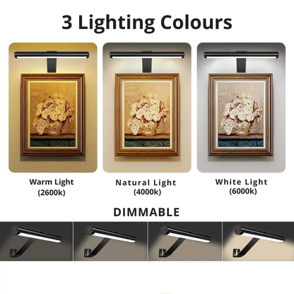 Lumi Picture Light